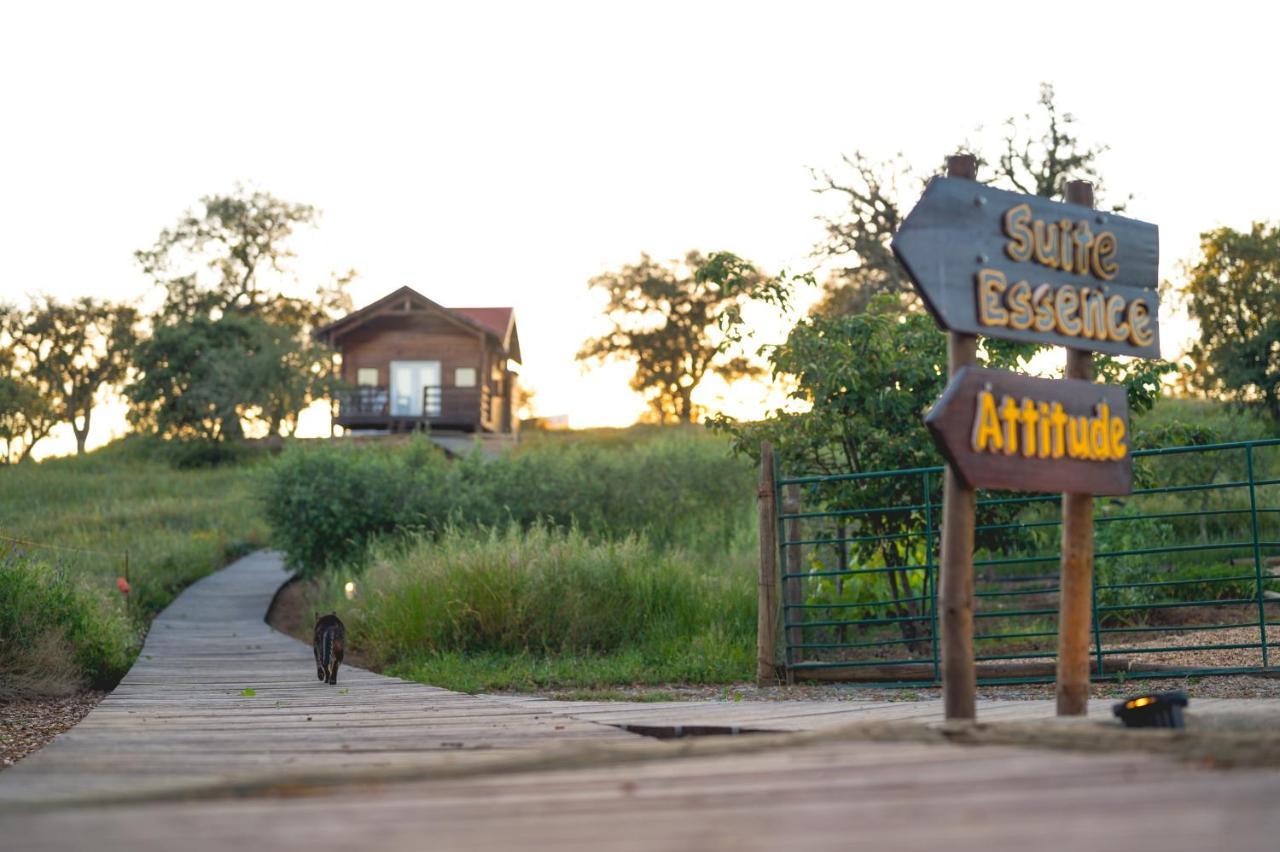 Monte Gois Country House E Spa Curvatos Ngoại thất bức ảnh